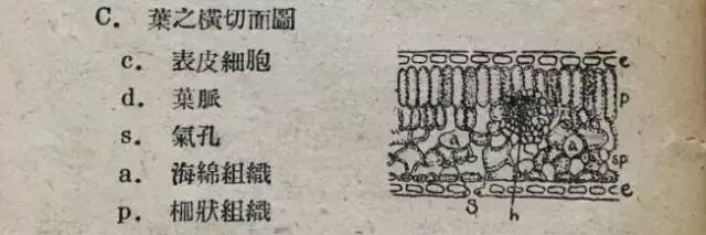 国立中央大学1933年试卷,国立中央大学试题