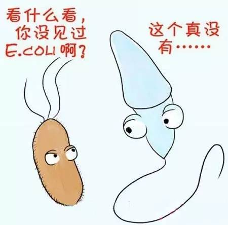 小蝌蚪死了该怎么救活,小蝌蚪的死因