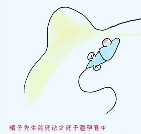 小蝌蚪死了该怎么救活,小蝌蚪的死因