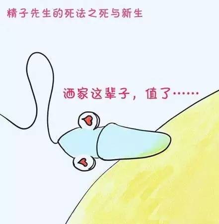 小蝌蚪死了该怎么救活,小蝌蚪的死因