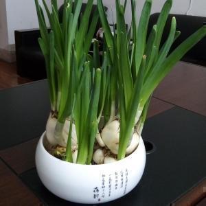 欧洲杯今晚比赛情况如何,欧洲杯比赛怎么样