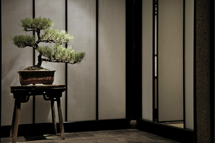 「隐庐」大隐于同里结庐在人境｜库live探店