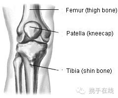 帕耶c罗,欧洲杯c罗下场后葡萄牙报复帕耶