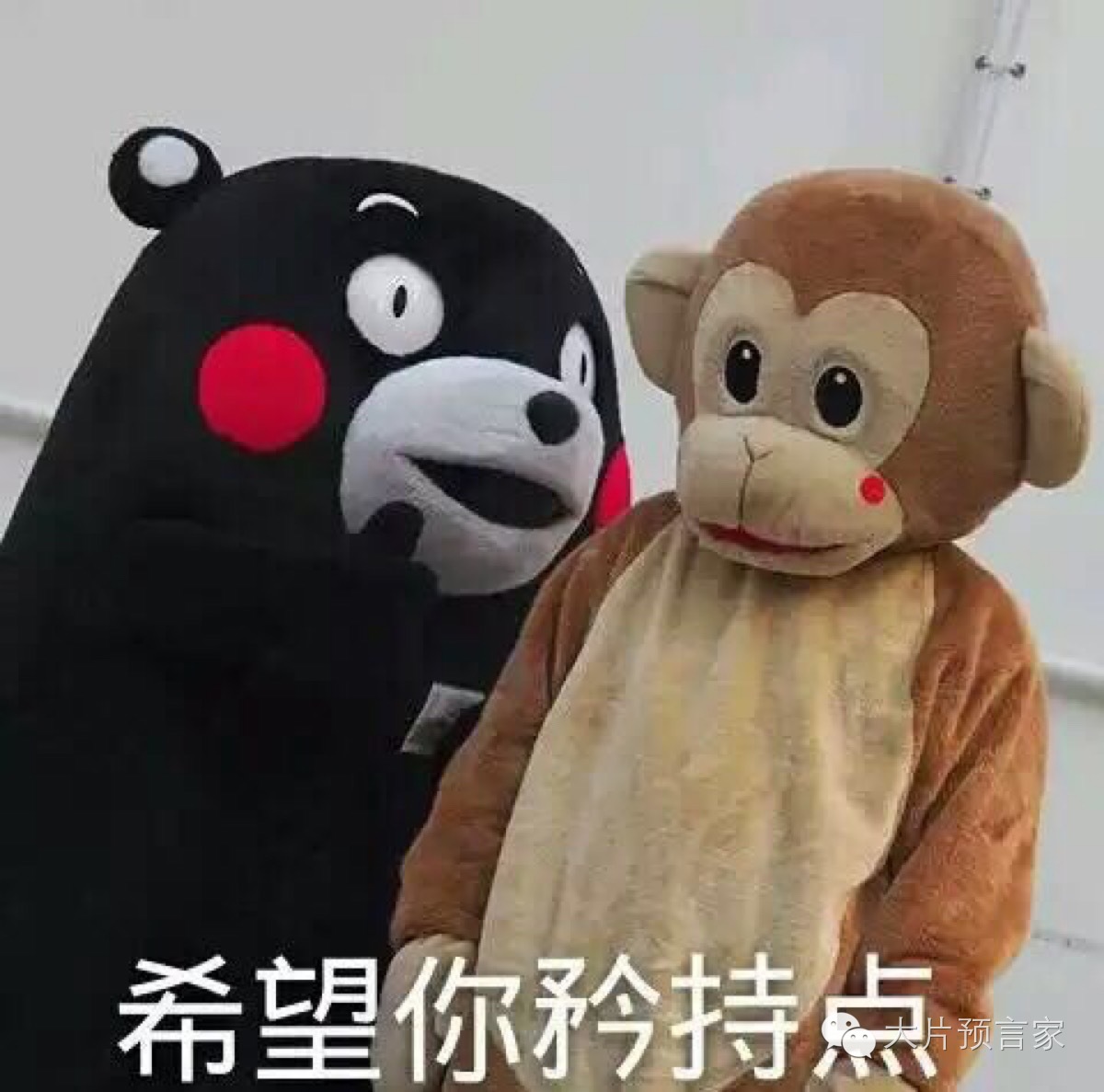 英国佬的政治素养怎么样,英国佬的政治素养