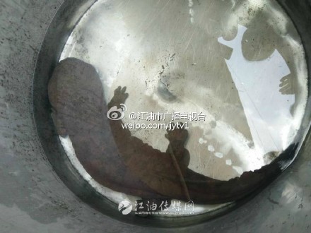 钓友钓起一条5米长的巨鲤,水库钓到10斤重娃娃鱼