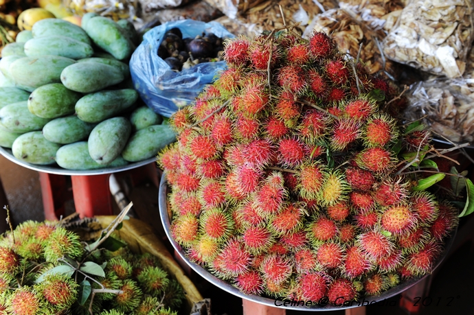 柬埔寨游玩推荐,柬埔寨旅游必去的九大绝佳景点