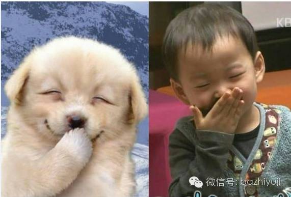 躲过宋仲基没躲过宋明国！那些年刷爆我们表情包的萌娃们