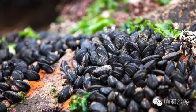 鑸熷北宓婃硹鍒楀矝鐪熺殑濂界編,宓婃硹鏈矝鍜屾灨鏉炲矝鏇寸編