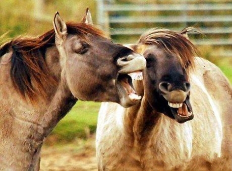 现在都还不知道?身边生物的寿命(饲养编)