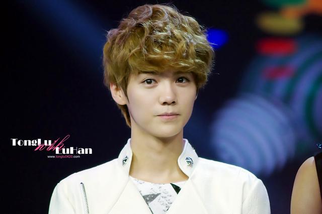 2016年季度总结,2016年上半年销售总结