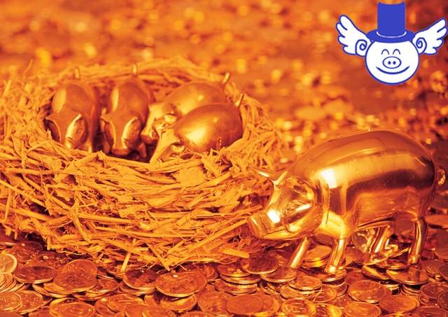 养猪今年赚钱吗,养猪一年能赚多少