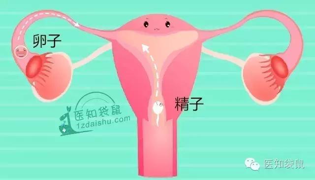 备孕有必要做孕前检查吗,四十岁备孕孕前检查哪些项目