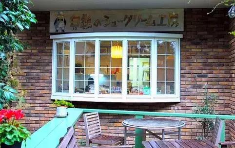 玩不了csgo能玩什么游戏,玩不了pokemmo