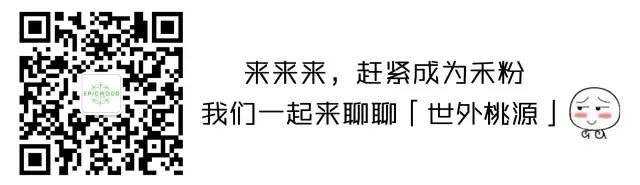 逃离城市隐世山野,逃离城市远离纷争
