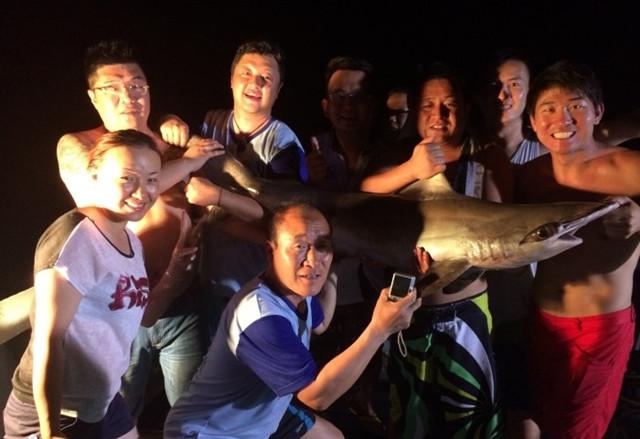 国外海钓巨物视频大全,去海钓路亚