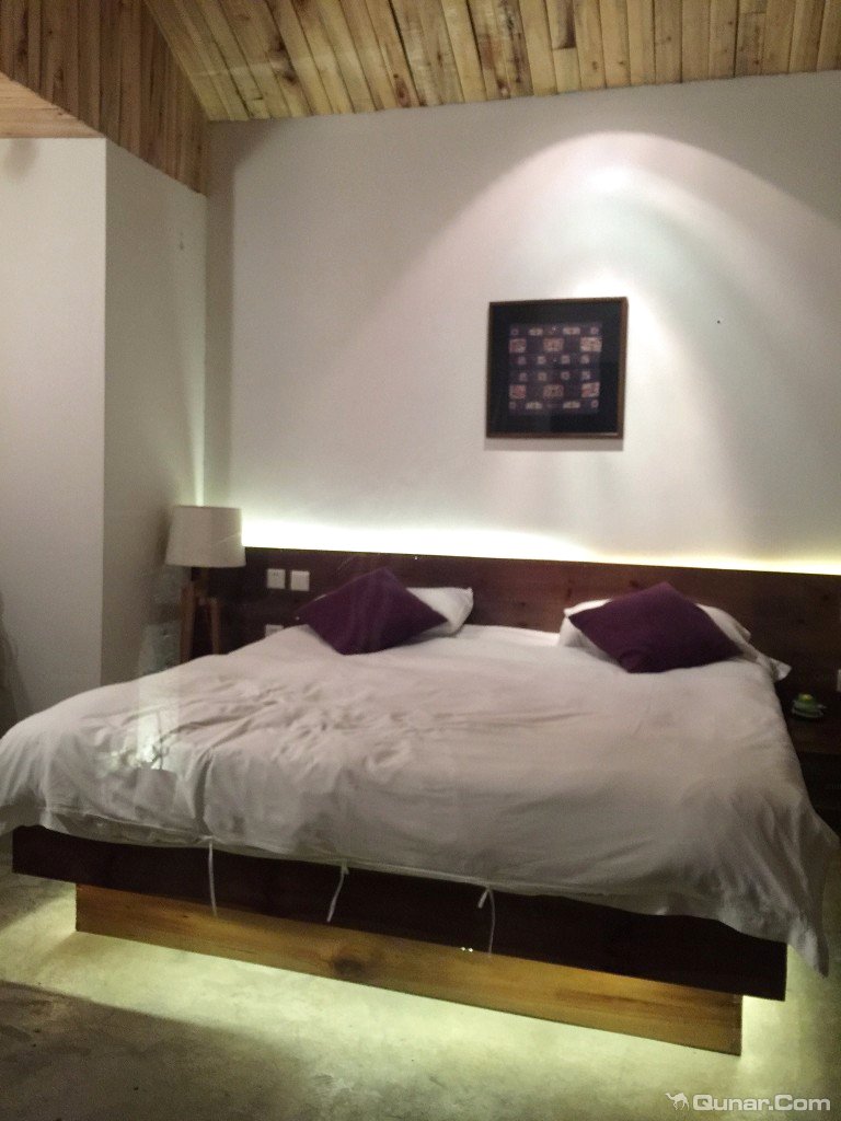 大理无花果好去处,大理路边大叶无花果