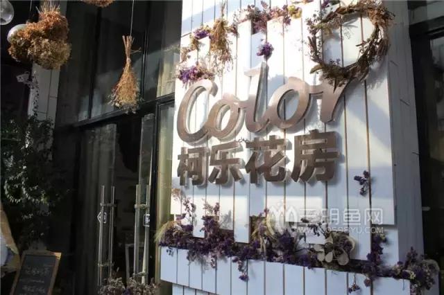 芒果控最爱的金煌芒,芒果控新鲜芒果