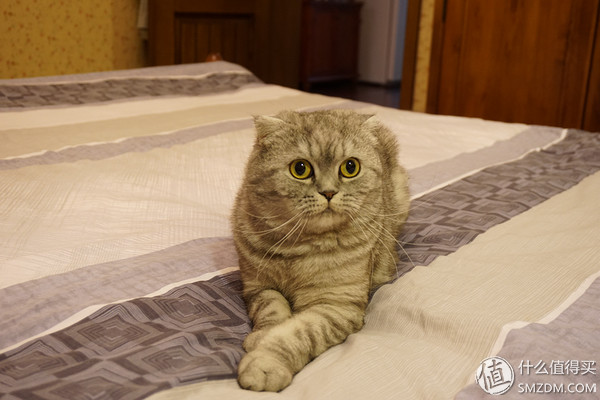 我家的老瓦房怎么改造,88平米厨房装修改造翻新视频