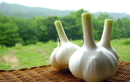 瀹跺涵鍏昏姳濡欐嫑,瀹跺涵鍏昏姳濡欐嫑澶у叏