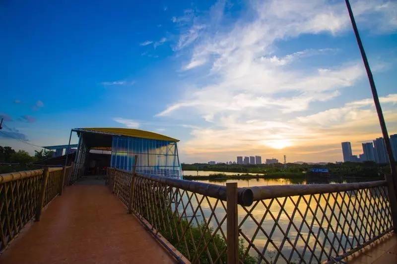 顺德农庄美食推荐,顺德有哪些好吃的山上农庄