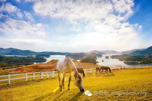 游西湖有什么民宿推荐,西湖边最美民宿推荐