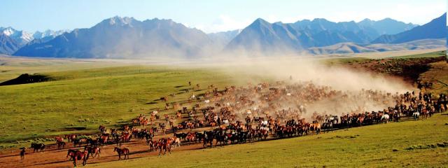 一起去大西北流浪,一起去大西北沙漠