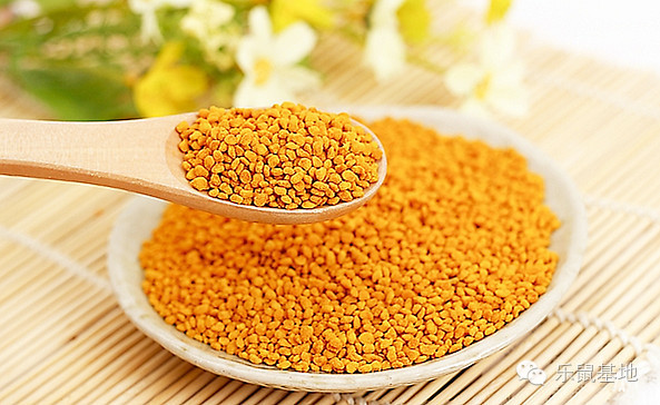 莲花很美,莲花应该怎么吃