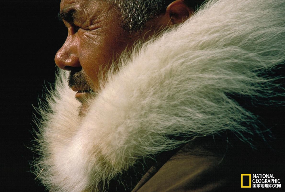 要说文化够多元，加拿大绝对算一个！