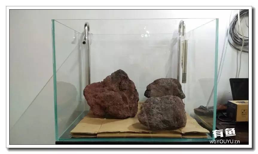 新手小白原生缸开缸教程,鱼缸怎么用高锰酸钾开缸详细教程