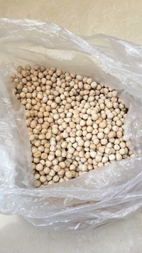 纸上种蔬菜,纸上种菜技术