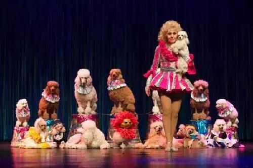 比东南亚划算还免签,只要1W,就能到俄国最美的贝加尔湖!