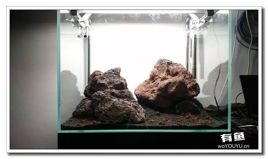 新手小白原生缸开缸教程,鱼缸怎么用高锰酸钾开缸详细教程