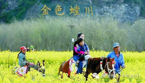 重庆至云南自驾游7天最佳路线,成都到云南自驾游最佳路线推荐