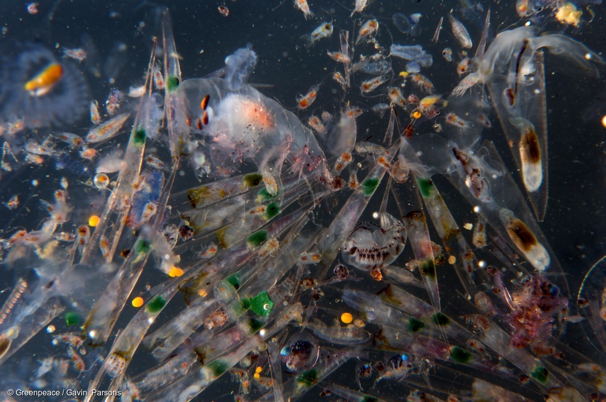 磨砂洗面奶副作用,自发起泡的洗面奶的害处