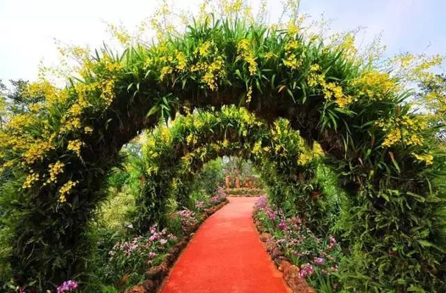 深圳东部华侨城游玩和消费,深圳东部华侨城详细攻略