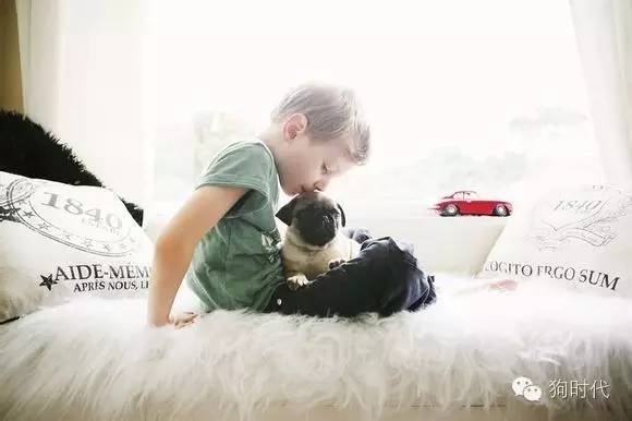 随手清理狗的粪便对吗,不停的捡猫毛