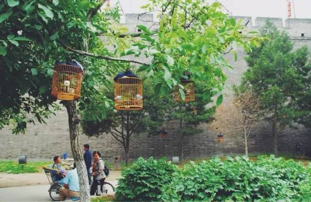 城墙边的慢生活,西安西北城墙美食攻略图