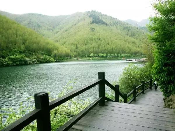 中国十三个最美的著名竹海,江苏旅游十大必去景区南山竹海