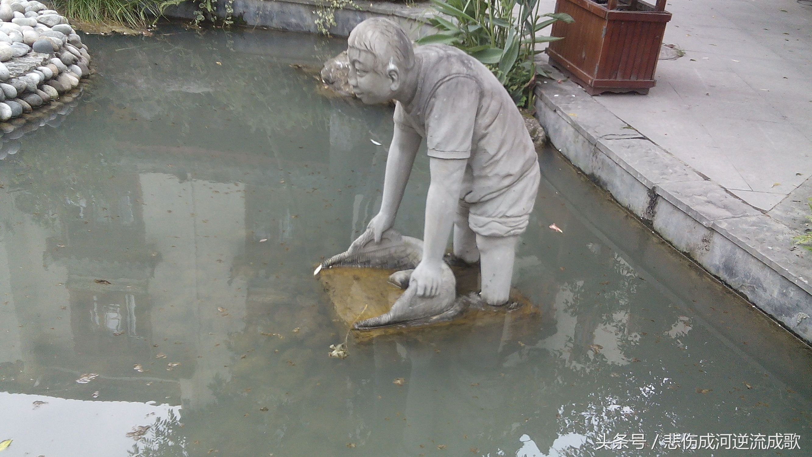 醉美水乡三道堰,水乡三道堰