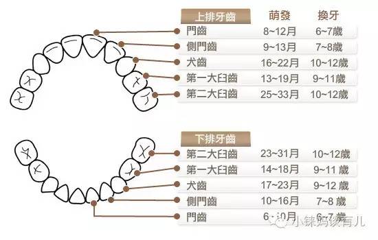 乳牙掉了没牙根怎么补牙,儿童乳牙龋齿烂了有必要补牙吗