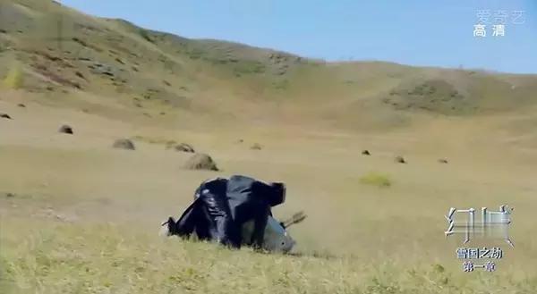 除了美瞳和发套，《幻城》就剩下幻觉了