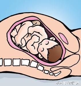 生孩子的正确打开方式,生孩子各阶段流程