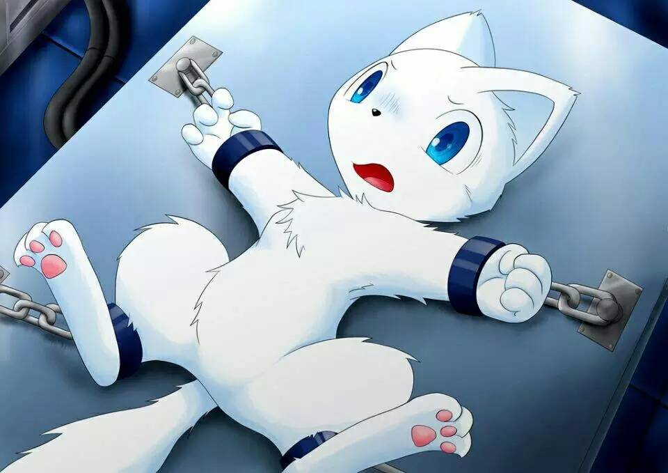 [小咖英语]老司机开车啦！5分钟了解你不知道的SM！