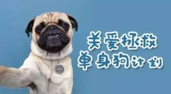 [小咖英语]老司机开车啦！5分钟了解你不知道的SM！