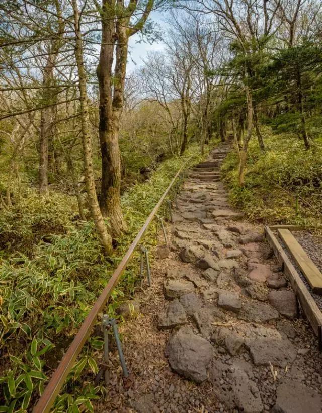 济州岛对中国一直免签吗,济州岛是对全球免签的吗