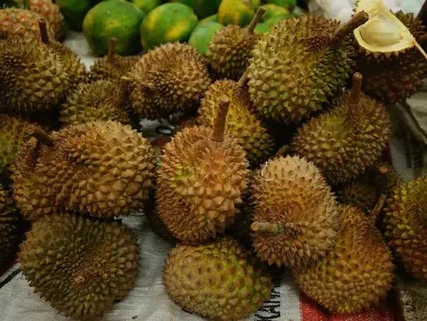 仙本那的海洋旅游,仙本那的海水比三亚好多了