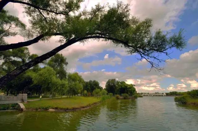 你心中的哈尔滨是什么样的,哈尔滨是个什么样的地方