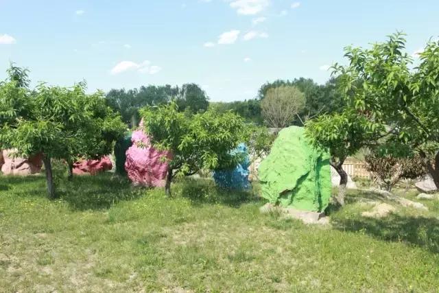 北京稻香湖景酒店儿童乐园,稻香湖欢乐岛温泉城堡儿童乐园