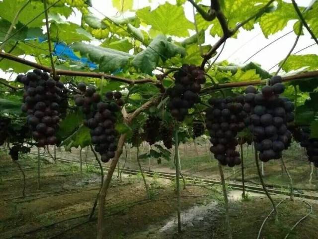 毕业旅游江西,毕业旅行去福建哪里旅游