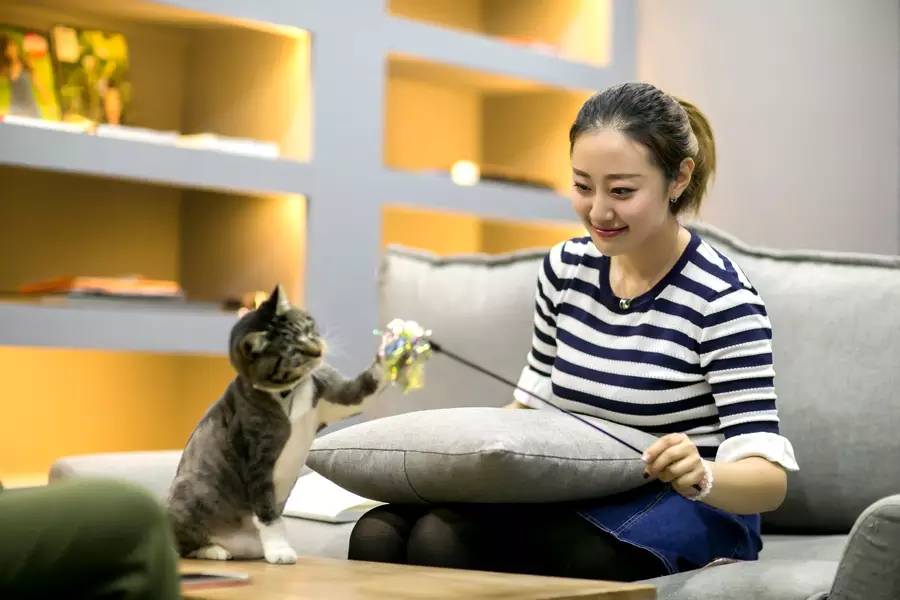 《凤求凰》No.52单身达人vivian︱说好的我到了，你呢？